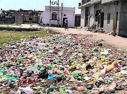 Garbage dumped on a vacant plot in Bank Colony in Ward No 2