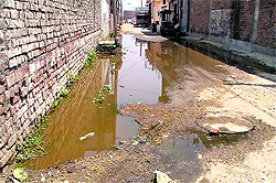 Water accumulated on a street near Dairy Complex on the Noorwal Road in Ludhiana
