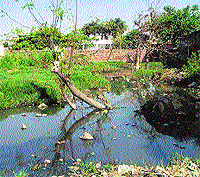 The sight of a vacant plot full of sewage water at Doraha village