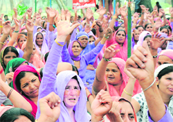 Anganwari workers shout slogans against the state government under the banner of the Sarv Karamchari Sangh, Haryana, at Karan Park in Karnal.