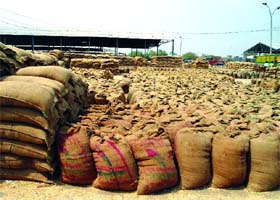 Old gunny bags of cattle feed in use at the grain market in Muktsar on Monday