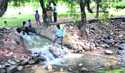Potable water flows unchecked at Rose Garden in Sector 16, Chandigarh