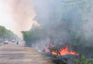 Vehicles snail through a thick smoke emanating from fire in a green belt along the national highway-1 near Murthal, Sonepat, on Monday. 