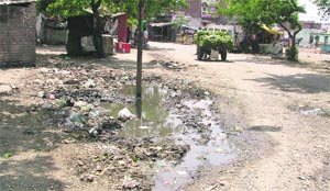 Stagnant water alongside a road at EWS Colony in ward no. 7 in Ludhiana. 