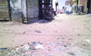A view of the road at Gurmail Park. The area sans basic amenities like streetlights.