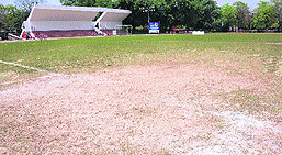 A view of the field damaged due to the batting strip made right at the centre of the football stadium in Sector 17. 