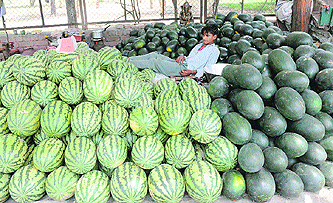  A watermelon vendor waits for customers in Karnal.