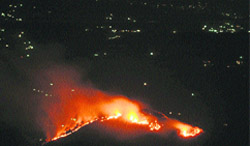 Forest fires are common during this season.
