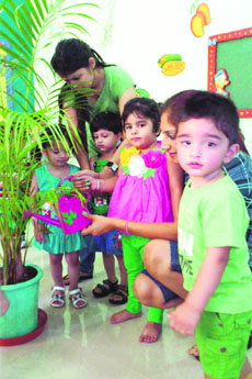 Tiny tots water plants to celebrate Green Day at Cherubs The Preschool in Ludhiana on Thursday. 