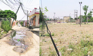 Water accumulated due to overflowing sewerage in ward number 11 at Ludhiana on Thursday; An ill-maintained park near Bhamian Road in ward number 11 at Ludhiana on Thursday.