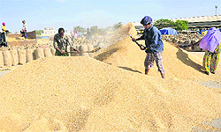 120 lakh tonnes and counting