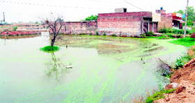 Residents of Ward Number 17 face the problem of waterlogging.