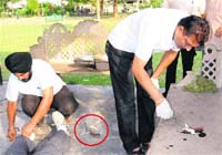 A police officer inspects the crime spot at Sector 27 in Chandigarh on Saturday.