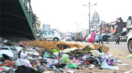 Heaps of garbage welcome visitors to Ward No. 17 in Ludhiana.