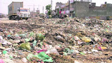Litter dumped on the GT Road in front of Hari Singh Garewal Market.