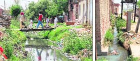 Residents use a temporary bridge to cross the uncovered ganda nullah and (right) in the absence of proper drainage sewer accumulates outside the houses in Ward number 16 in Amritsar