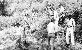 Police officials destroy cannabis alongside police barracks in Chamba on Monday.