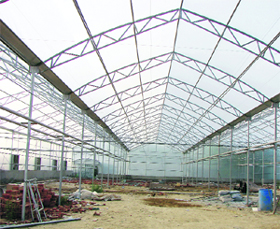 A view of the high-tech greenhouse at Gurgaon.