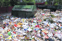 Garbage lying near the boundary wall of Government Model School, Sector 16, in Chandigarh. Tribune photo: Manoj Mahajan