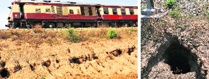 Pits located near the rail track at Saneta village in Mohali on Wednesday. Tribune Photos: Vicky Gharu A close shot of a crevice.