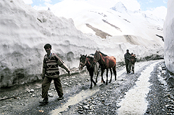 A ponywallah walks through Zojila on the Srinagar-Leh highway on Wednesday. The road reopened recently after remaining closed for six months