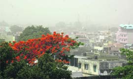 Dust settled over Doon valley affected visibility on Thursday. 