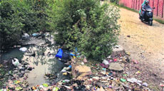 The ganda nullah passing through a locality in Ward Number 12. 