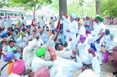 Members of the 17 farmer unions staging protest near the Mini-secretariat on Friday. They were demanding benefits for the agriculture sector in Punjab. 