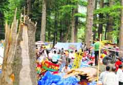 A team undertakes relief operations at the Hadimba Devi templ
