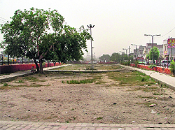 An ill-maintained green belt of Ward No. 25 in Ludhiana
