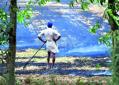 A farmer burns wheat stubble at Basant Pura village near Rajpura