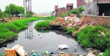 The open choked drain in Maqboolpura area poses major health hazard for the residents of Ward number 32 in Amritsar. Photo: Vishal Kumar