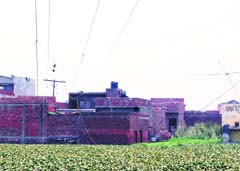 High-tension wires pass over rooftops posing threat to residents.