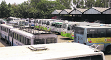 Buses parked at a Punjab Roadways Depot as contract workers of Punbus observe a two-day strike in Jalandhar. 
