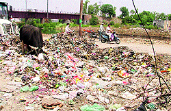 Heaps of garbage in ward number 31