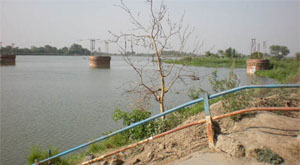 Residents of Ferozepur feel that the potential of river and canals has not been tapped fully. 