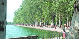 Greenery near a water body besides being a soothing sight during the hot summer provides ample opportunity to get refreshed. That's why, all roads in Bathinda lead to the lake near the Thermal plant nowadays. 