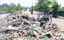 A garbage dump alongside the Buddha Nullah in ward no. 33