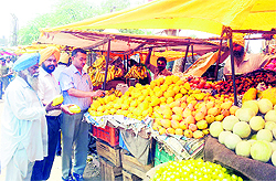 Officials of the health department examine eatables in Jagraon