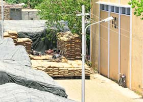 Wheat bags stocked on the internal roads of an FCI godown in Fazilka