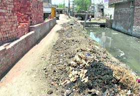 A road littered with waste from a nullah near Sanour Adda in Patiala on Wednesday
