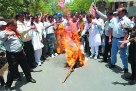 Members of the BJP Yuva Morcha burn the effigy of the UPA-led Central Government against the hike in the price of petrol, outside the district administrative complex in Bathinda on Thursday