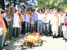 BJP activists burn an effigy of the UPA Government in Shimla on Thursday.
