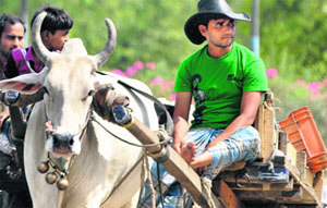 A man travels on a bullock cart on the NH-2 in Faridabad