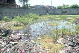 An empty plot filled with sewage in the Amrik Nagar area in Jalandhar