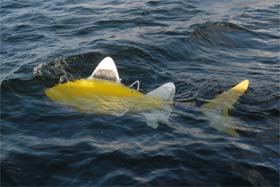 A robot fish is pictured in this undated handout photo provided by SHOAL, a European project involving universities, businesses and the port of Gijon
