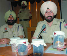 SSP Dr Sukhchain Singh Gill, at a press conference held in Bathinda on Friday, displays the stolen gold ornaments that the police recovered. 