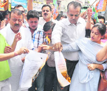BJP workers burn copies of interlocutors report in Jammu on Friday.