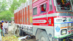 The truck which killed two persons and injured three near Kukrawala village in Amritsar. 