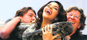 Mallika Sherawat poses with a python in 2010